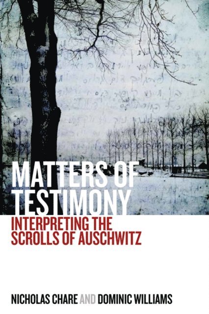Dominic Williams, Nicholas Chare - Matters of Testimony, E-bok