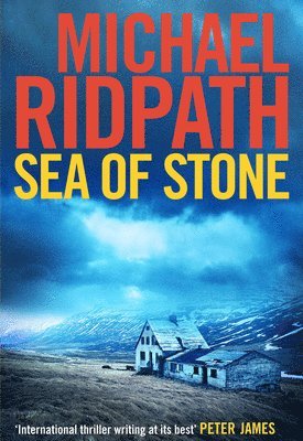 Michael Ridpath - Sea of Stone, Häftad