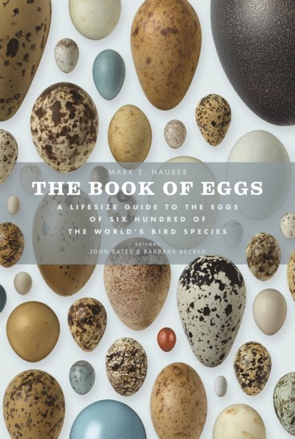John Bates, Mark E. Hauber - Book of Eggs, E-bok