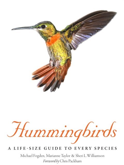 Michael Fogden, Marianne Taylor - Hummingbirds, E-bok