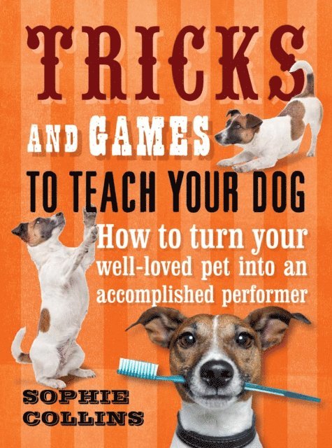 Sophie Collins, Da Suellen - Tricks & Games To Teach Your Dog: How to turn your much loved pet, E-bok