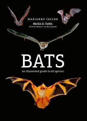 Marianne Taylor - Bats, Inbunden
