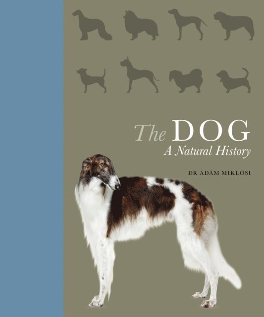 Ádám Miklósi - Dog, E-bok