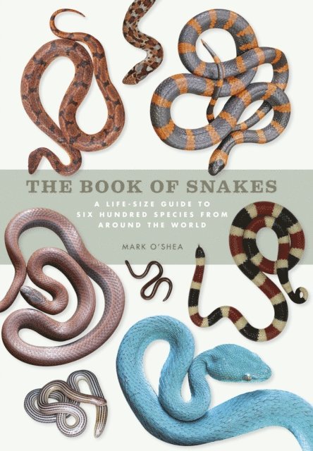 Mark O'Shea - Book of Snakes, E-bok