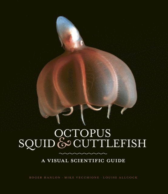 Roger Hanlon, Louise Allcock, Mike Vecchione - Octopus, Squid & Cuttlefish, E-bok