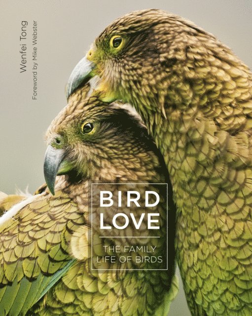 Wenfei Tong - Bird Love, E-bok. Tillgänglighet: Lägg i varukorg