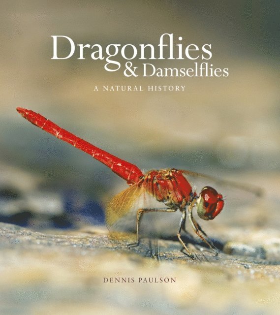 Dennis Paulson - Dragonflies & Damselfies, E-bok