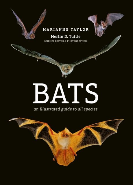 Marianne Taylor - Bats, E-bok