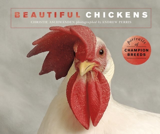 Christie Aschwanden - Beautiful Chickens, E-bok