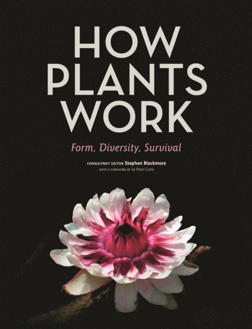 Stephen Blackmore - How Plants Work, E-bok