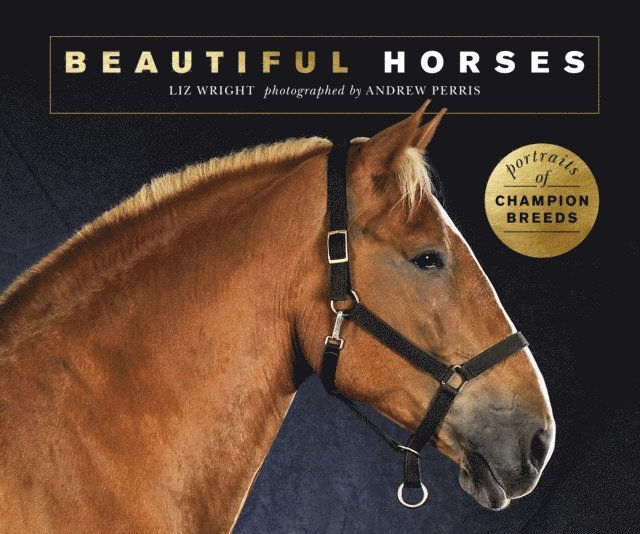 Liz Wright - Beautiful Horses, E-bok