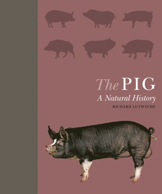 Richard Lutwyche - Pig, E-bok