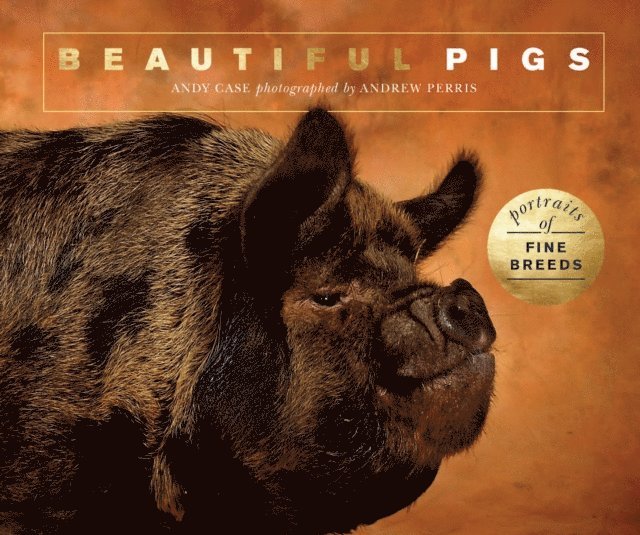 Andy Case - Beautiful Pigs, E-bok