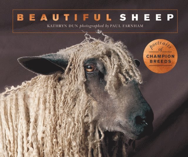Kathryn Dun - Beautiful Sheep, E-bok