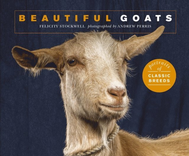 Felicity Stockwell - Beautiful Goats, E-bok