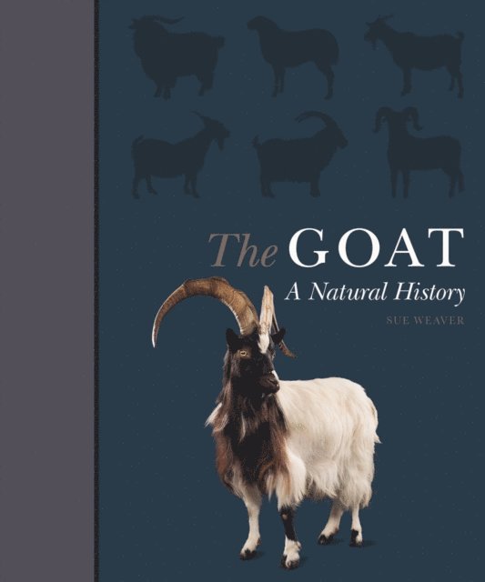 Sue Weaver - Goat, E-bok