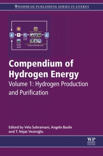 T. Nejat Veziroglu, Angelo Basile, Velu Subramani - Compendium of Hydrogen Energy, E-bok