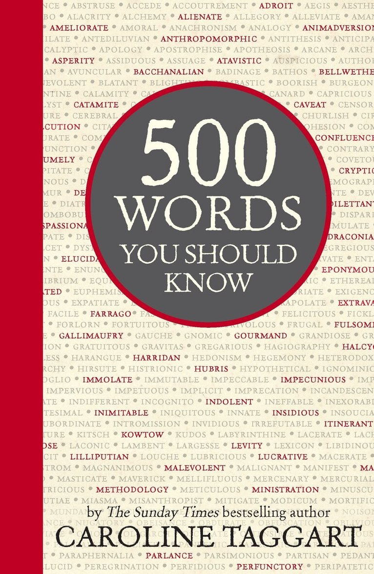 Caroline Taggart - 500 Words You Should Know, E-bok