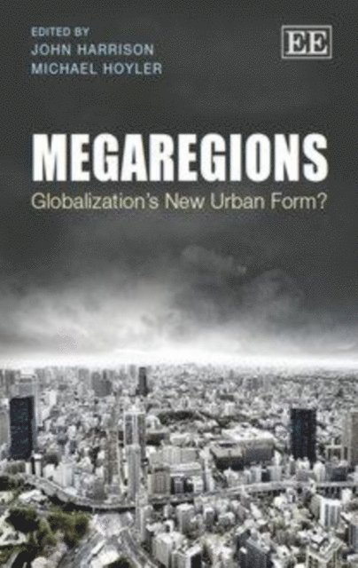 Michael Hoyler, John Harrison - Megaregions, E-bok