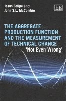 Aggregate Production Function and the Measurement of Technical Change