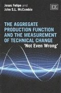 Aggregate Production Function and the Measurement of Technical Change
