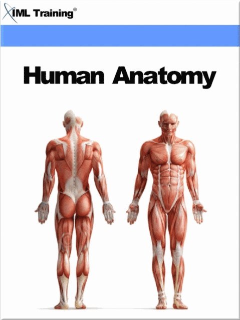 IML Training - Human Anatomy (Human Body), E-bok. Tillgänglighet: Lägg i varukorg