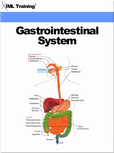 IML Training - Gastrointestinal System (Human Body), E-bok. Tillgänglighet: Lägg i varukorg