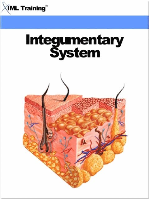 IML Training - Integumentary System (Human Body), E-bok. Tillgänglighet: Lägg i varukorg