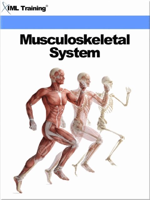IML Training - Musculoskeletal System (Human Body), E-bok. Tillgänglighet: Lägg i varukorg