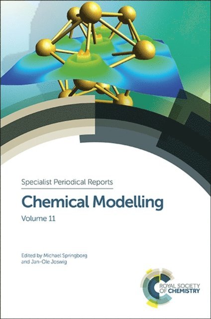 Jan-Ole Joswig, Michael Springborg - Chemical Modelling, E-bok