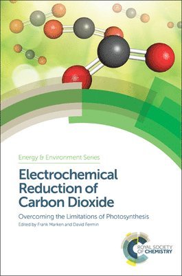 Electrochemical Reduction of Carbon Dioxide av Frank Marken, David Fermin, Frank Marken, David Fermin