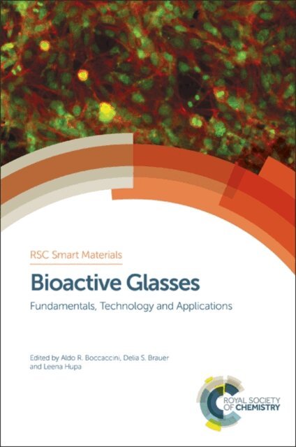 Leena Hupa, Delia S Brauer, Aldo R Boccaccini - Bioactive Glasses, E-bok