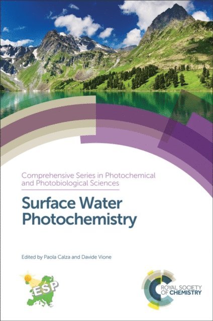 Davide Vione, Paola Calza - Surface Water Photochemistry, E-bok
