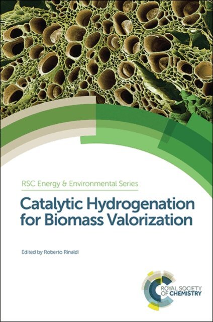 Roberto Rinaldi - Catalytic Hydrogenation for Biomass Valorization, E-bok
