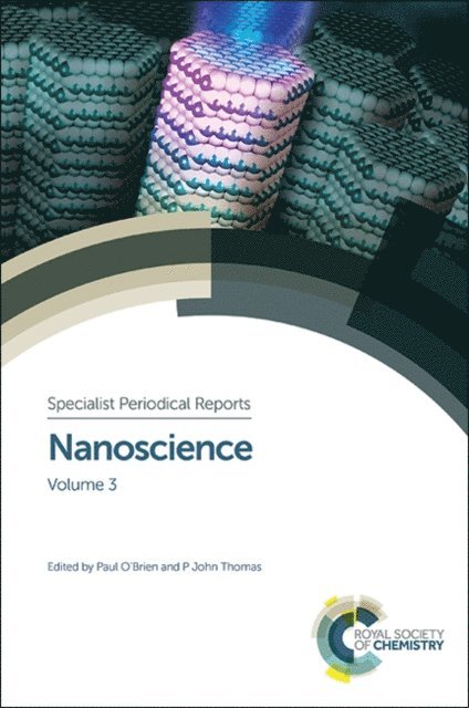 P John Thomas, Paul O'Brien - Nanoscience, E-bok