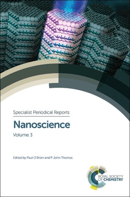 P John Thomas, Paul O'Brien - Nanoscience, E-bok