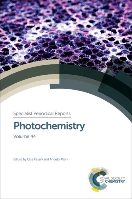 Elisa Fasani, Angelo Albini - Photochemistry, E-bok