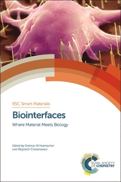 Wojciech Chrzanowski, Dietmar Hutmacher - Biointerfaces, E-bok
