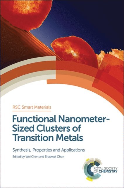 Shaowei Chen, Wei Chen - Functional Nanometer-Sized Clusters of Transition Metals, E-bok