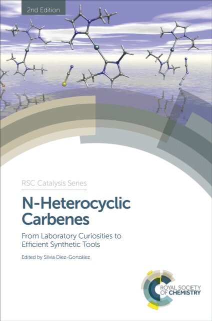 Silvia Diez-Gonzalez - N-Heterocyclic Carbenes, E-bok