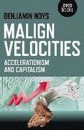 Malign Velocities  Accelerationism and Capitalism