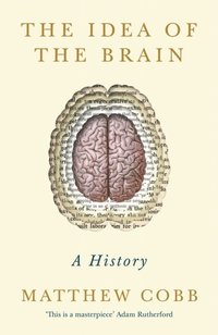 Idea of the Brain