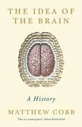 Idea of the Brain