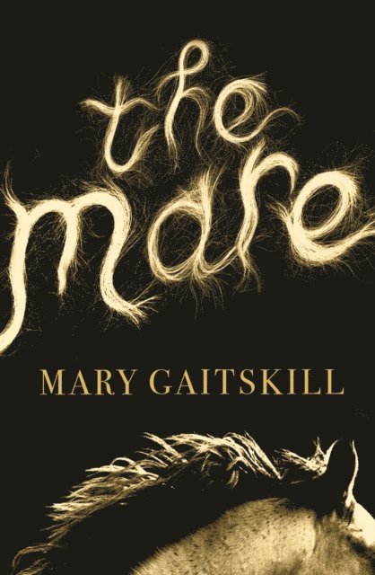 Mary Gaitskill - Mare, E-bok