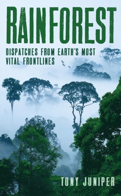 Tony Juniper - Rainforest, E-bok