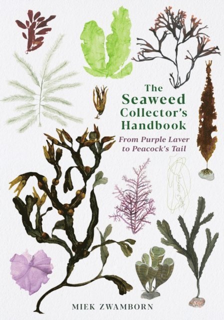Miek Zwamborn - Seaweed Collector's Handbook, E-bok