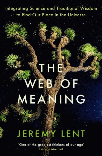 Jeremy Lent - Web of Meaning, E-bok