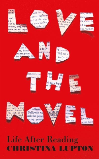 Christina Lupton - Love and the Novel, E-bok