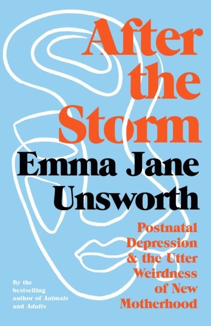 Emma Jane Unsworth - After the Storm, E-bok