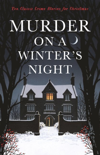 Cecily Gayford - Murder on a Winter's Night, E-bok
